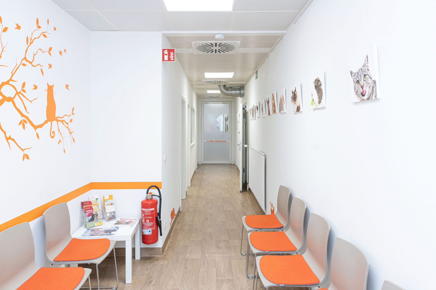 Jobs als Tierärzt in / TFA (m/w/d) Kleintierzentrum Germering Germering