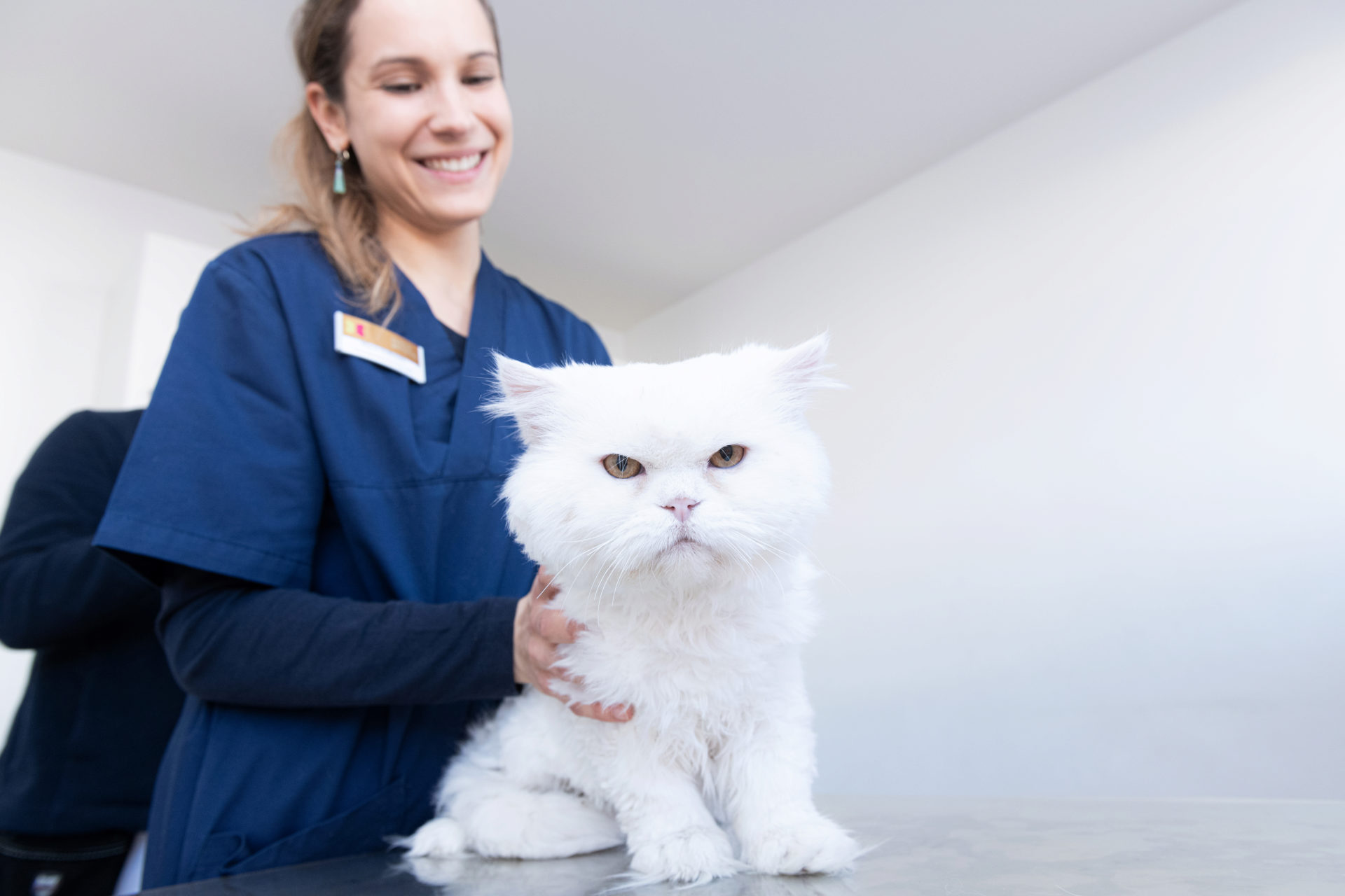 Teaserbild Kleintierzentrum Germering